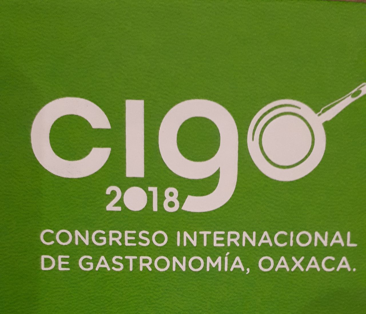 Inauguración CIGO 2018 