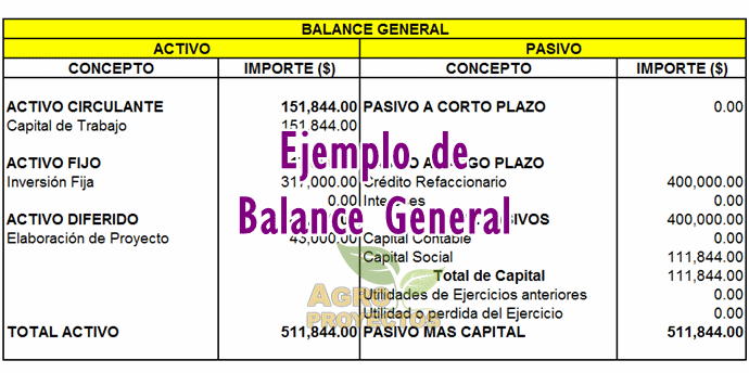 Balance general (estándar).