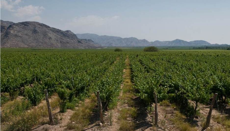 Fiambalá: Reclaman por la falta de obras para riego