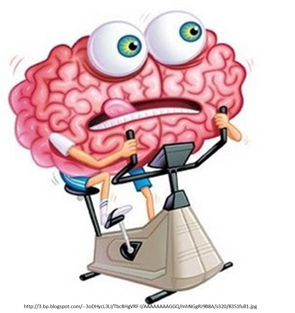 Entrena tu Cerebro