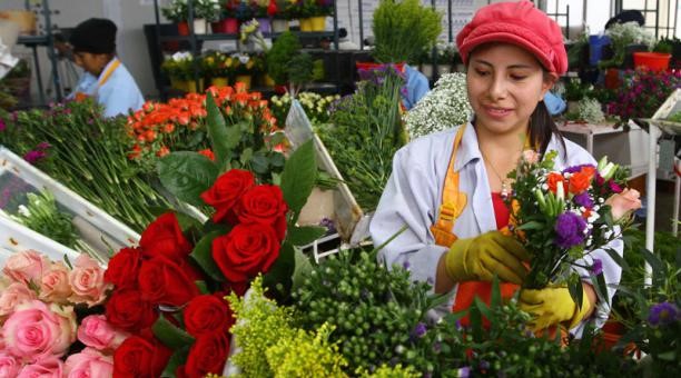 MUJER CABEZA DE HOGAR EN EMPRESAS FLORICULTORAS