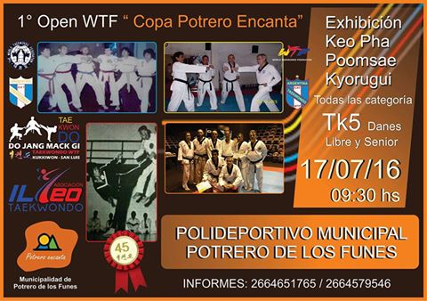 TORNEO DE TAEKWONDO WTF