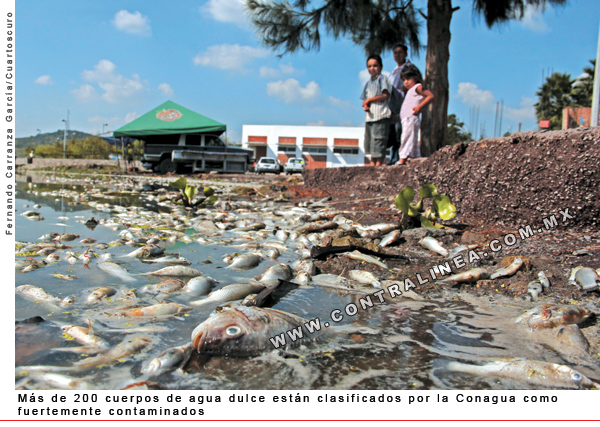 Rios contaminados en mexico