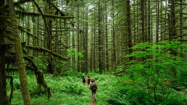 Ventajas y desventajas del ecoturismo