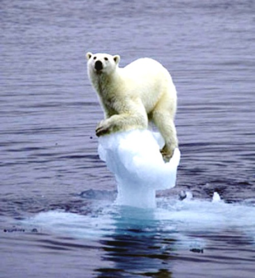 Efecto del cambio climático sobre la biodiversidad