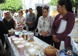 •	Impulsa el IECA proyecto para apoyar en la formación de empresas sociales