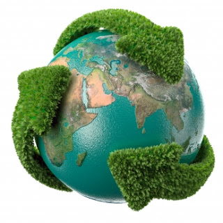 Cuidar los ecosistemas