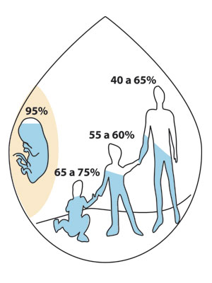 El agua como recurso natural