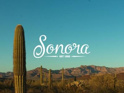 El estado de sonora 
