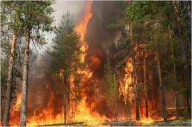 Incendios Forestales