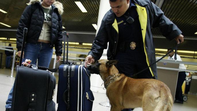 Police dogs trained to fight marauding terrorists