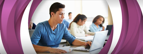 Alfabetización, Primaria y Bachillerato