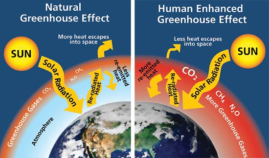 CAMBIO CLIMATICO