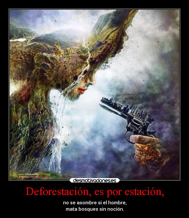 documental deforestacion.