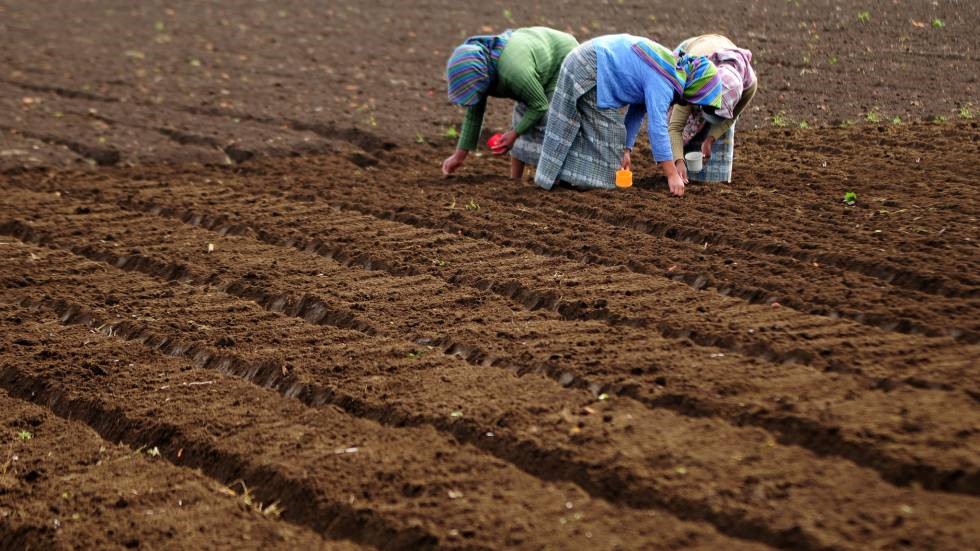 Latinoamérica da un paso al frente contra la deforestación