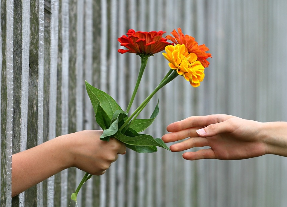 FLORES ¿ Porque regalarlas?
