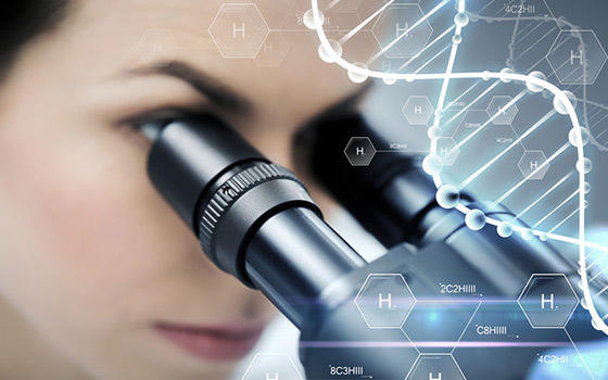 Nanomateriales: aprendiendo de la naturaleza para beneficio del hombre