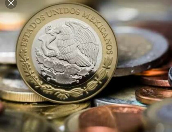 El TIC y la destruccion de la economia mexicana