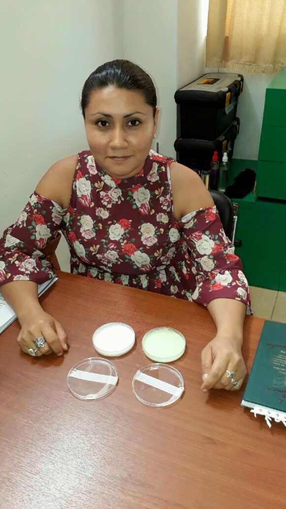 Experimentos y Prototipos