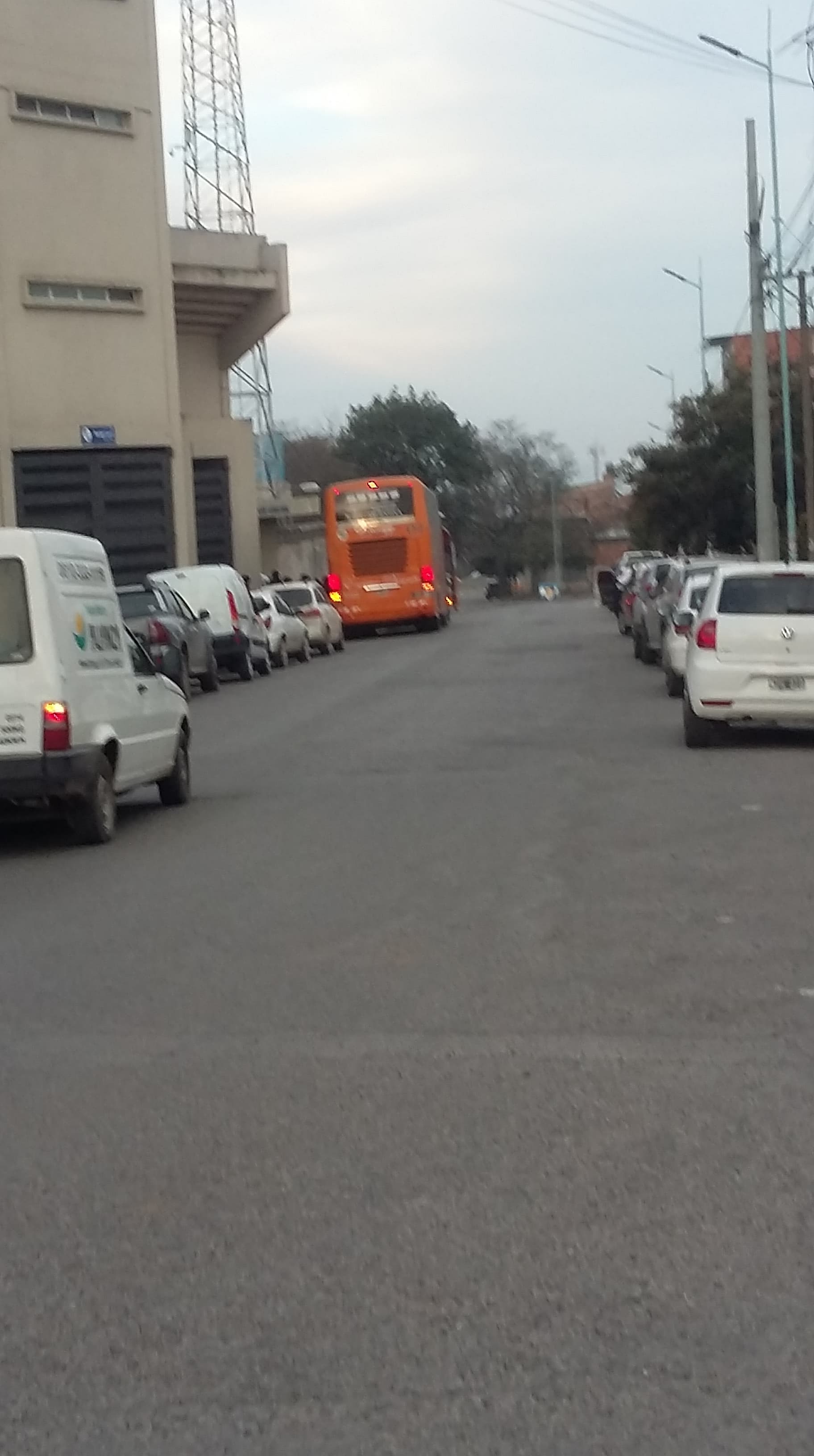 EL REGRESO DE LOS COLES TRUCHOS