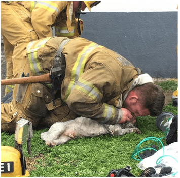 El Bombero héroe que rescató a un perro.
