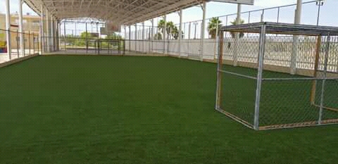 Cancha deportiva