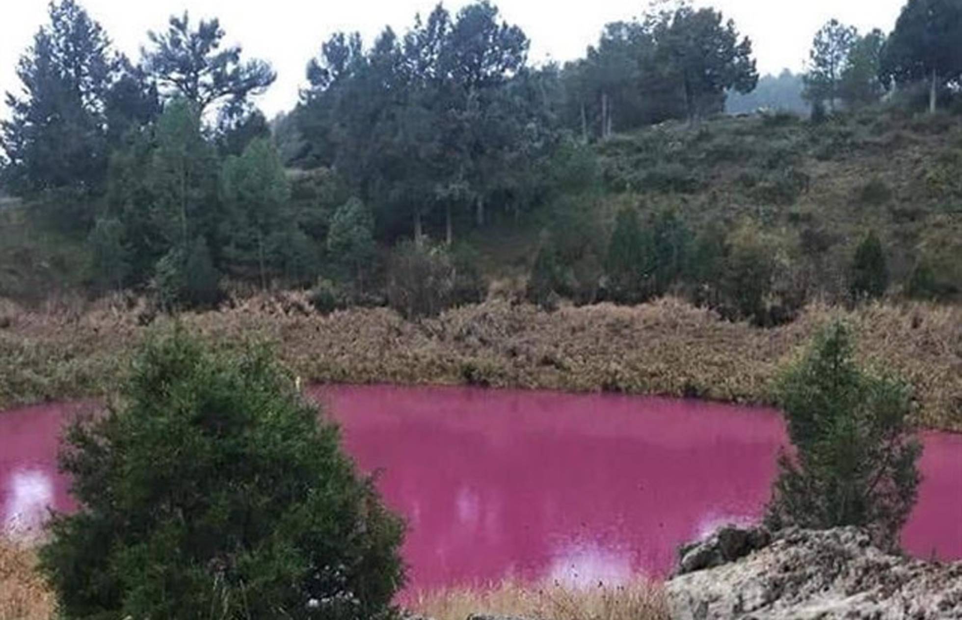 La laguna de Cuenca que se volvió rosa por un raro fenómeno químico