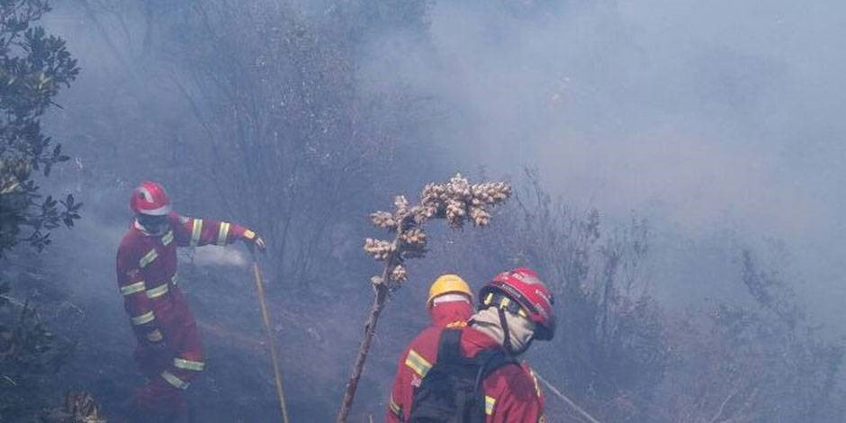 Busca a autores de incendios forestales