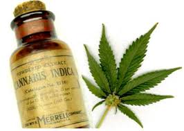 Diputados aprobó por unanimidad el uso medicinal del aceite de cannabis