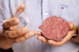 Carne de hamburguesa cultivada.