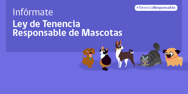 Reglamento de la Ley de Tenencia Responsable de Animales de Compañía