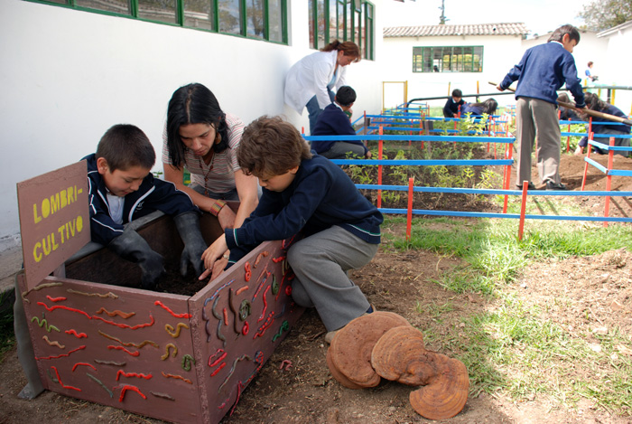 La indagación en la escuela es una actividad en la que los niños aprenden desde la acción.
