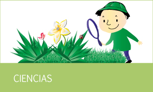 Experiencias de indagación 