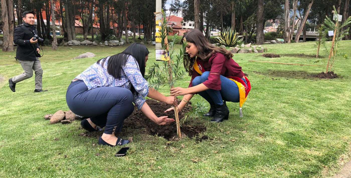 Portales de Yanuncay desarrolla jornada de siembra de árboles