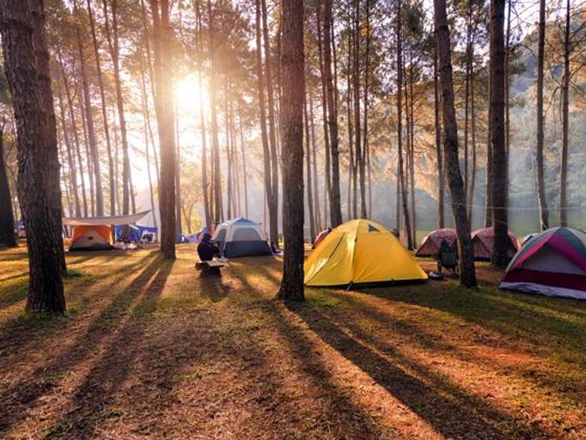 CAMPAMENTO y DORMIDAS PARA EL CIERRE DEL VERANO