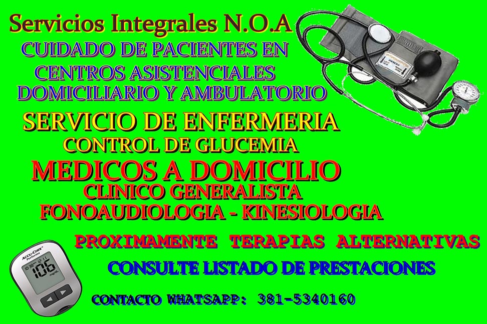 SERVICIOS INTEGRALES N.O.A
