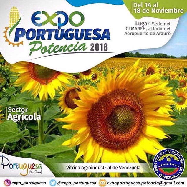 Expo Portuguesa Potencia 2018