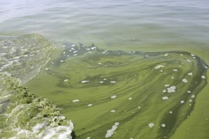 toxinas en el aire