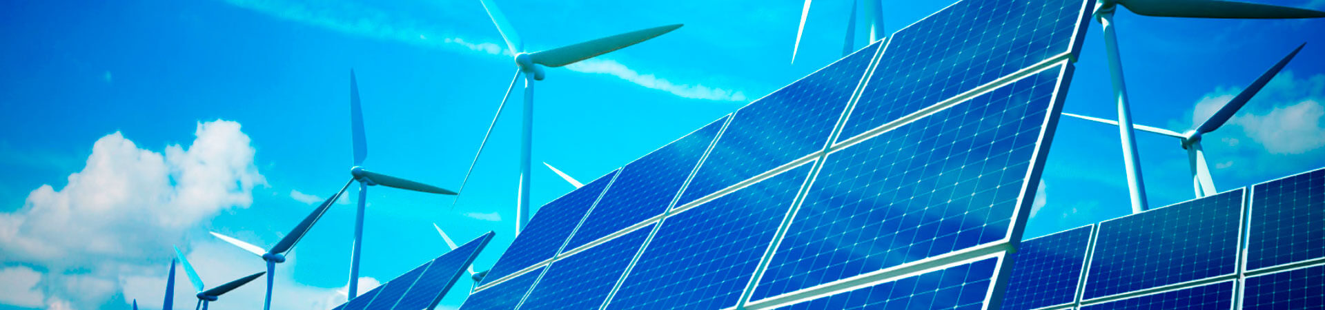 Las Energías Renovables, negocio del futuro.