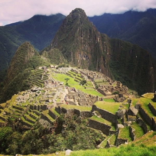 Desde las altas montañas de América Latina a las mesas de todo el mundo