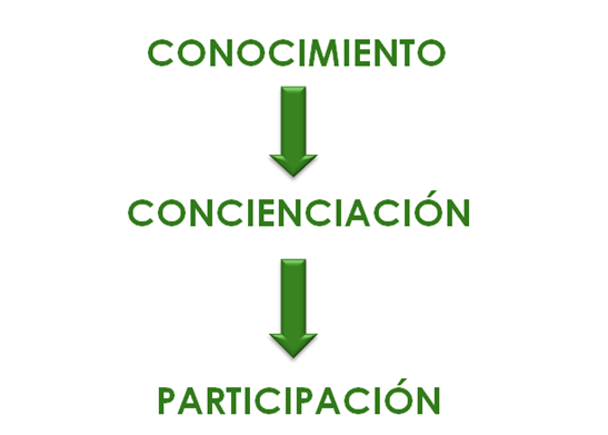 Modelos contemporáneos y marcos de fundamentación de la EA