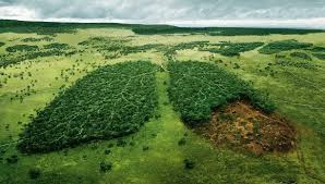Matando a la naturaleza, matándonos. La actividad humana antinatural.