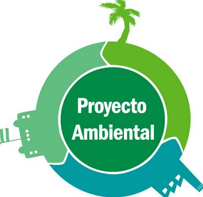 pautas para elaborar un proyecto ambiental