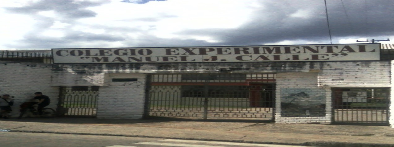 Inseguridad en el Manuel J. Calle