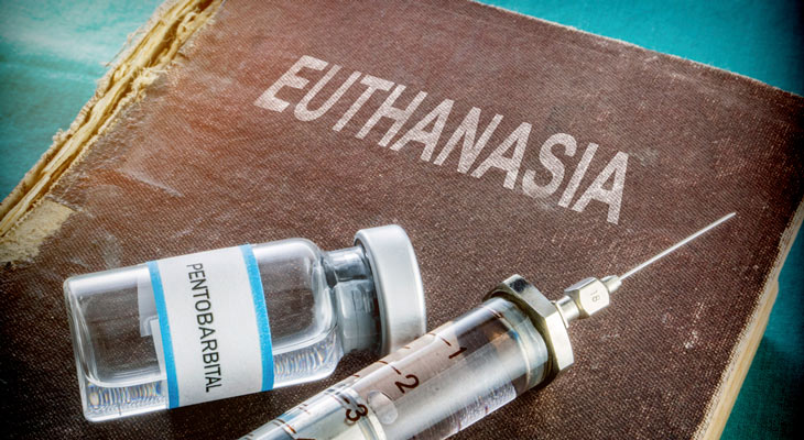 Eutanasia un polémico derecho que también tienen los niños  y niñas. 