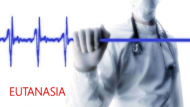 Casos de eutanasia que han generado polémica.