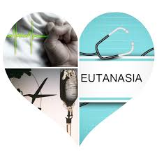La eutanasia: perspectiva bioética en la actualidad