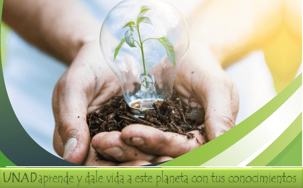 creciendo en la unad