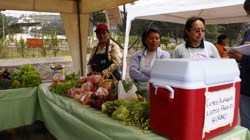 Productos innovados en las bioferias de la Zona Calderón