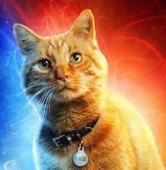 El gato de la Capitana Marvel robara el protagonismo a Brie Larson